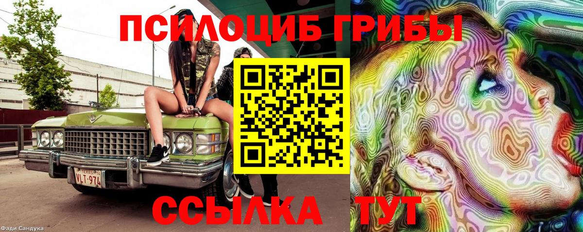 купить  сайты  Вход с VPN  Псилоцибиновые грибы Magic Shrooms  Кумертау  Псилоцибиновые грибы мухоморы 