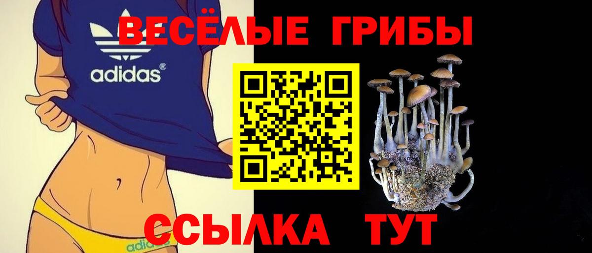 Галлюциногенные грибы мицелий Кумертау